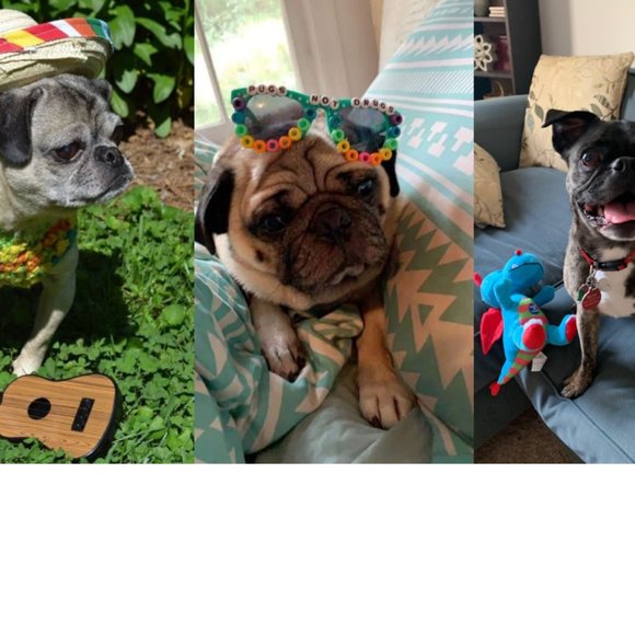 Meet your Posher, Rachel - Picture 4 of 5